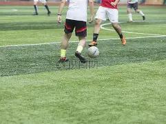 宁夏打造业,余篮球,梦之队,开云体育,开云体育官网,开云体育app,开云体育平台,KAIYUN,SPORTS,kaiyun登录入口