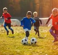 开云体育,功能,产品,开云体育,开云体育官网,开云体育app,开云体育平台,KAIYUN,SPORTS,kaiyun登录入口