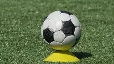 开云体育app功能