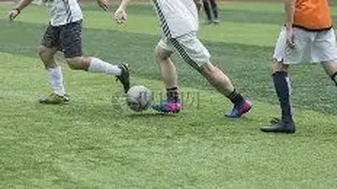 开云体育app功能 资讯 093433 slr