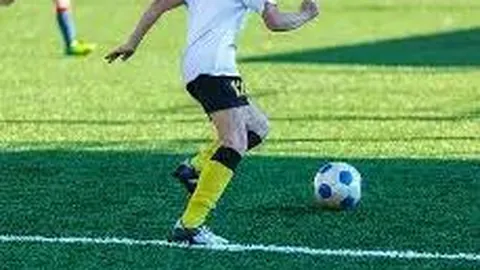 开云体育app功能 资讯 093611 suc