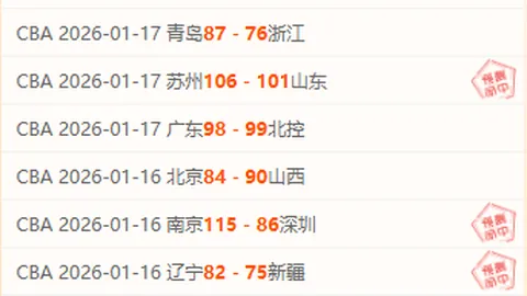 开云体育app功能 资讯 133828 5qh